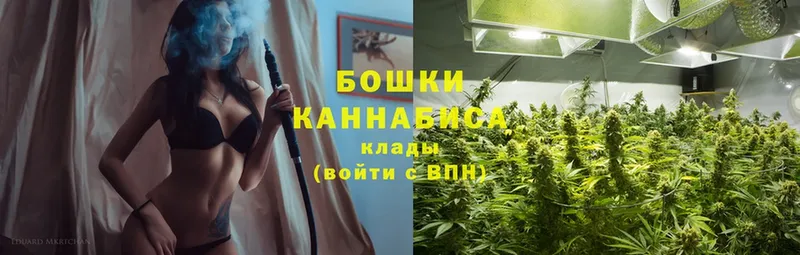 где купить   МЕГА ONION  Шишки марихуана Ganja  Болхов 